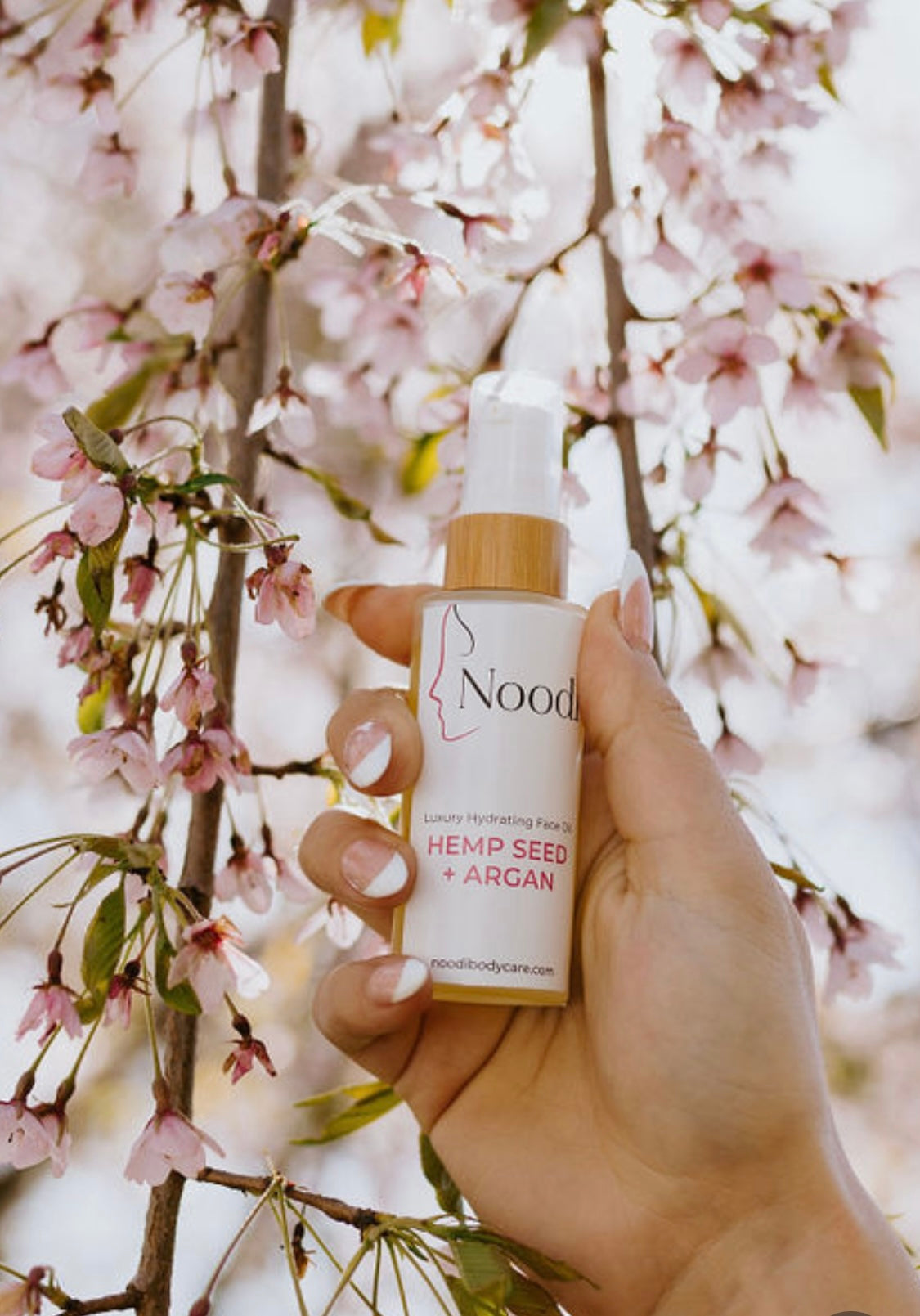 A hand holds a bottle of Nood hydrating face oil with hemp seed and argan, surrounded by delicate pink cherry blossoms.